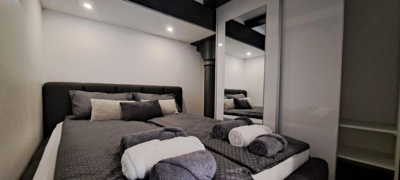 Апартаменты Ljubljana Nest- Centre, Free Parking- Renovated August 2024 Экстерьер фото
